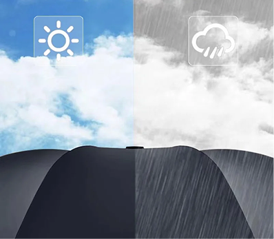 Шүхэр (Нарны шүхэр)